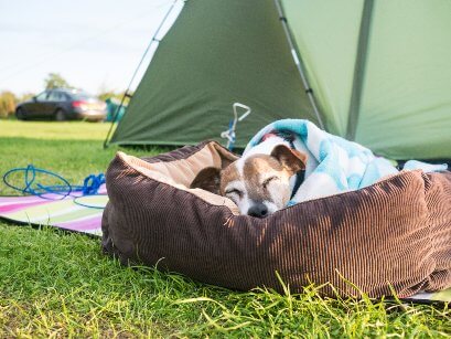 buy-sleeping-bag-or-sleeping-pad-for-dogs