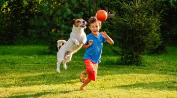 list-of-camping-games-to-play-with-dog