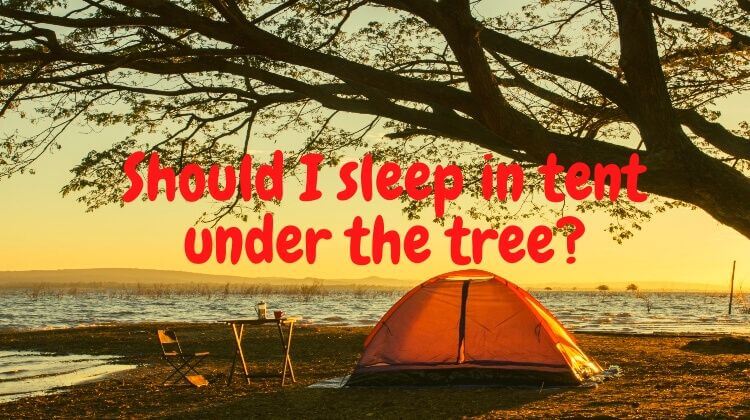 Should I sleep in tent under the tree