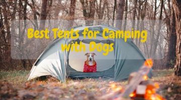 best-tents-for-camping-with-dogs