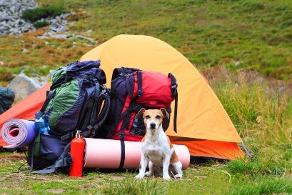 camping-dog-gears-preparation